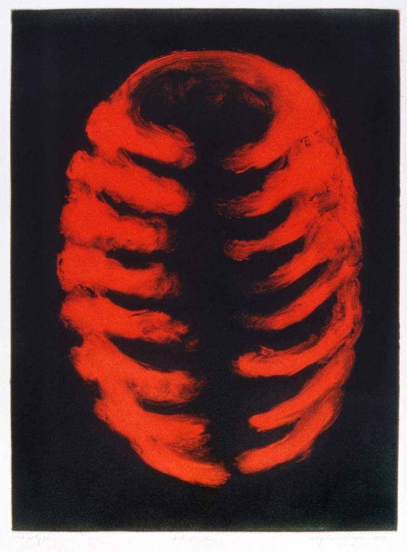 rib cage print mary ann unger