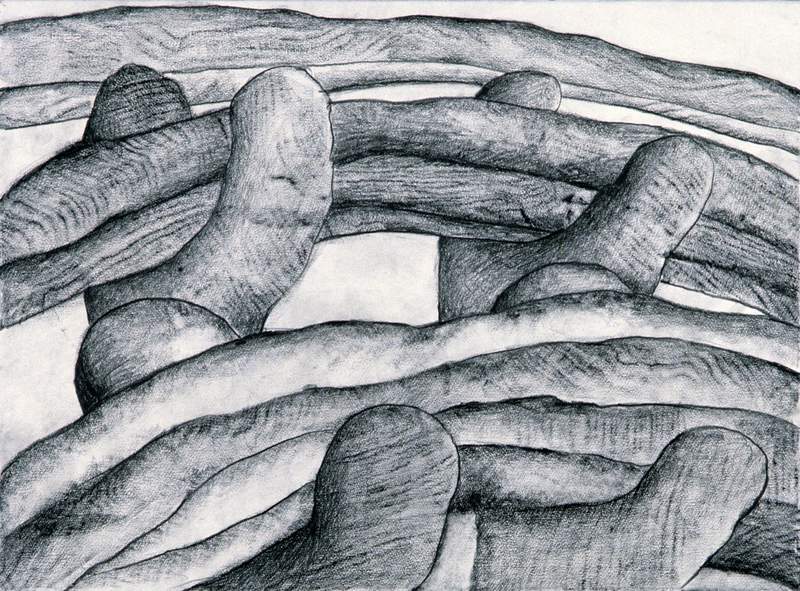 across the bering strait detail drawing mary ann unger