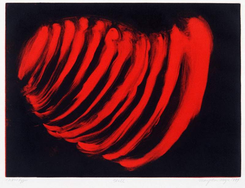 shell print mary ann unger