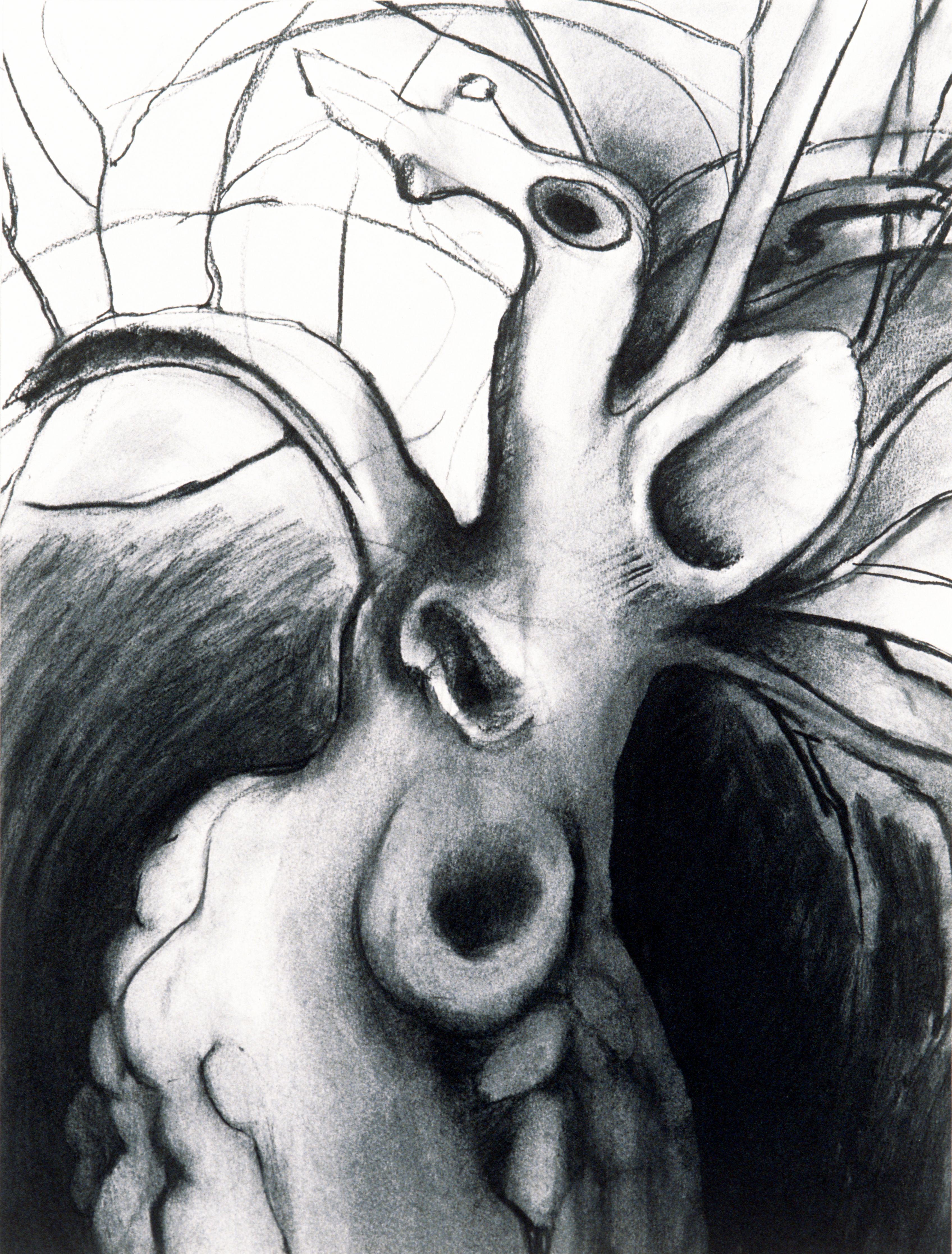 aging daphne drawing mary ann unger