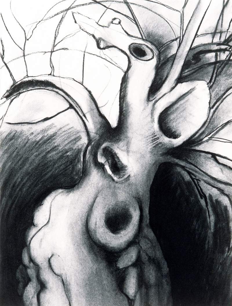 aging daphne drawing mary ann unger