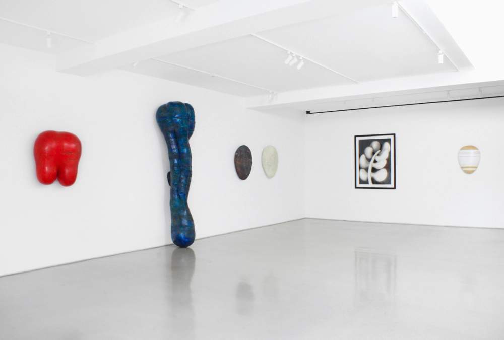 Mary Ann Unger Flesh and Bone Retrospective 1976–1998