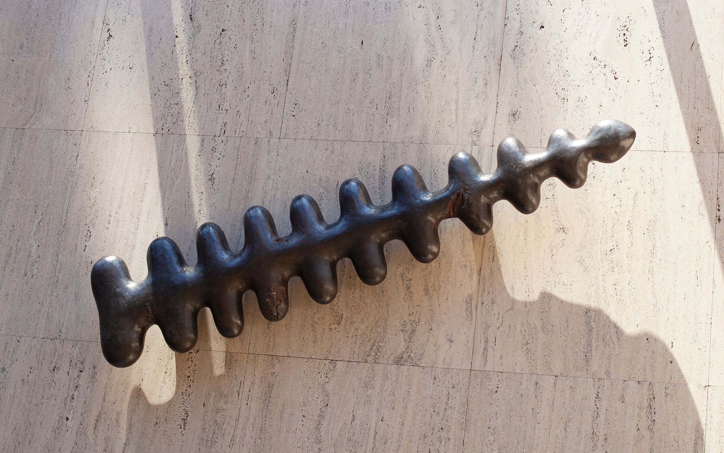 Spine Mary Ann Unger Estate