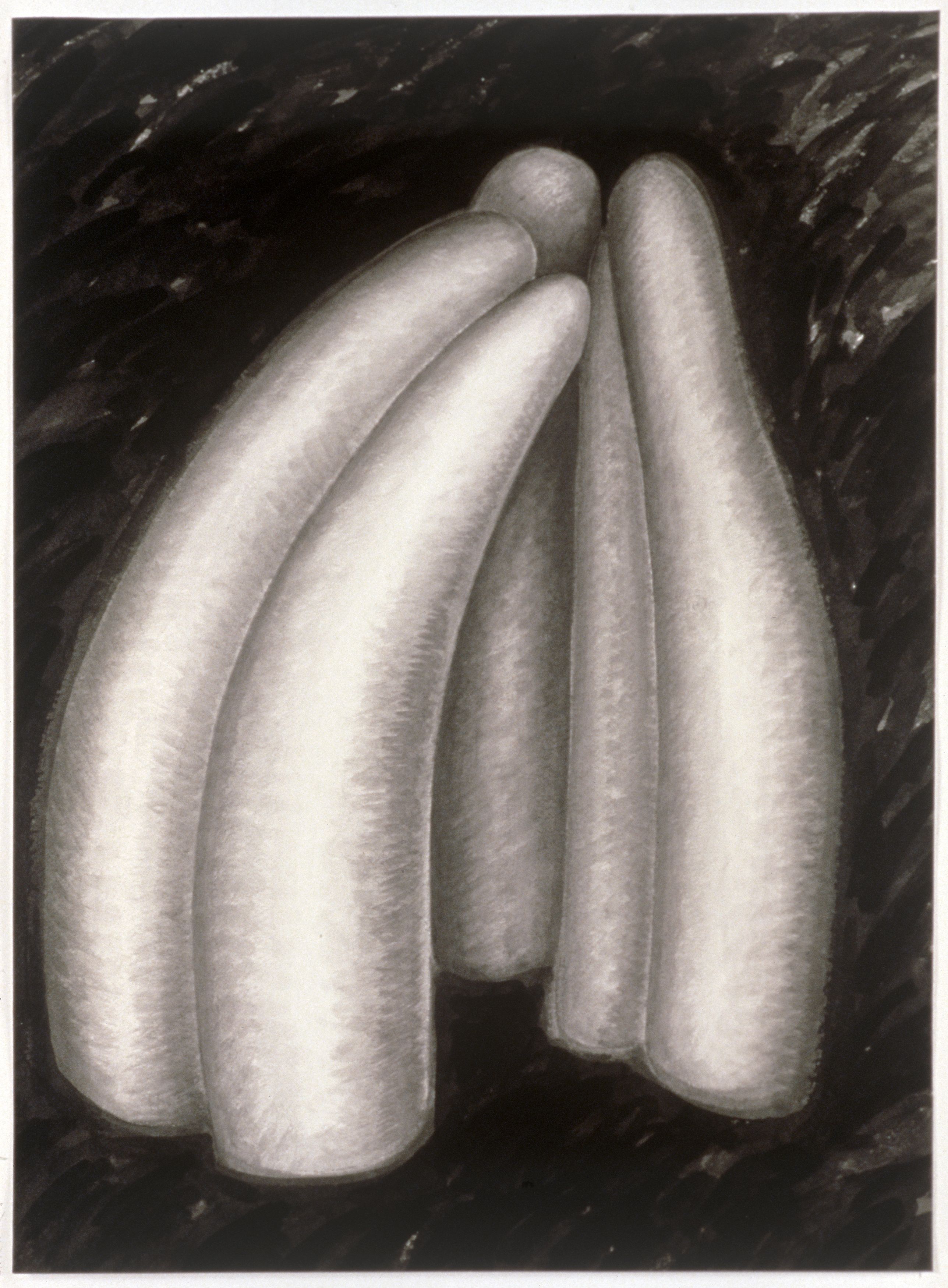 study after misericordia