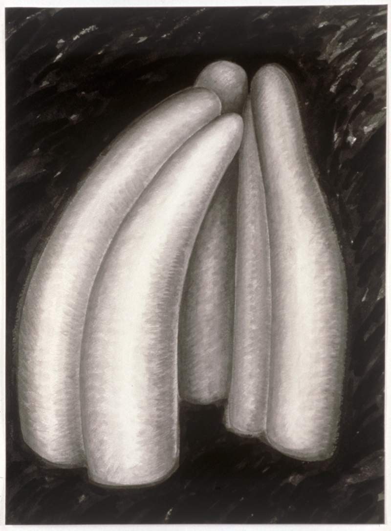 study after misericordia