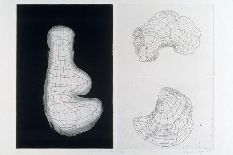 armature with shells print mary ann unger