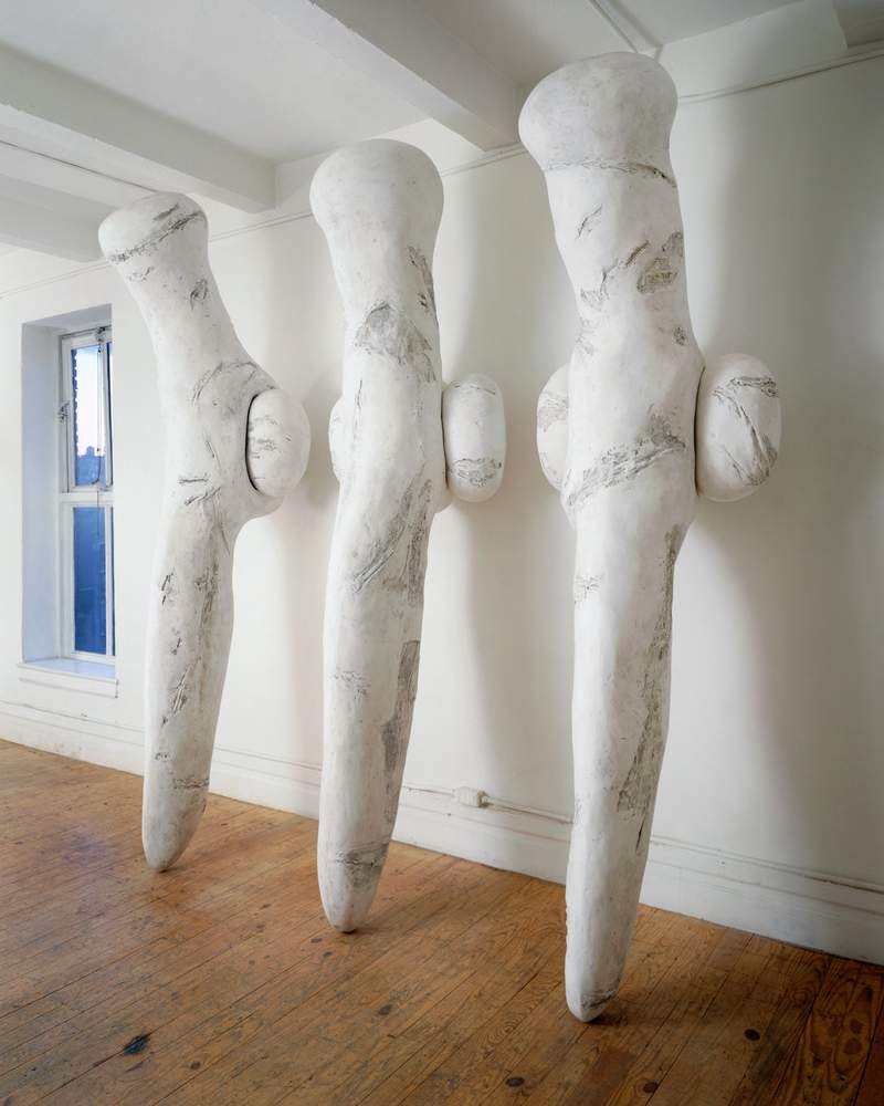 shanks mary ann unger estate