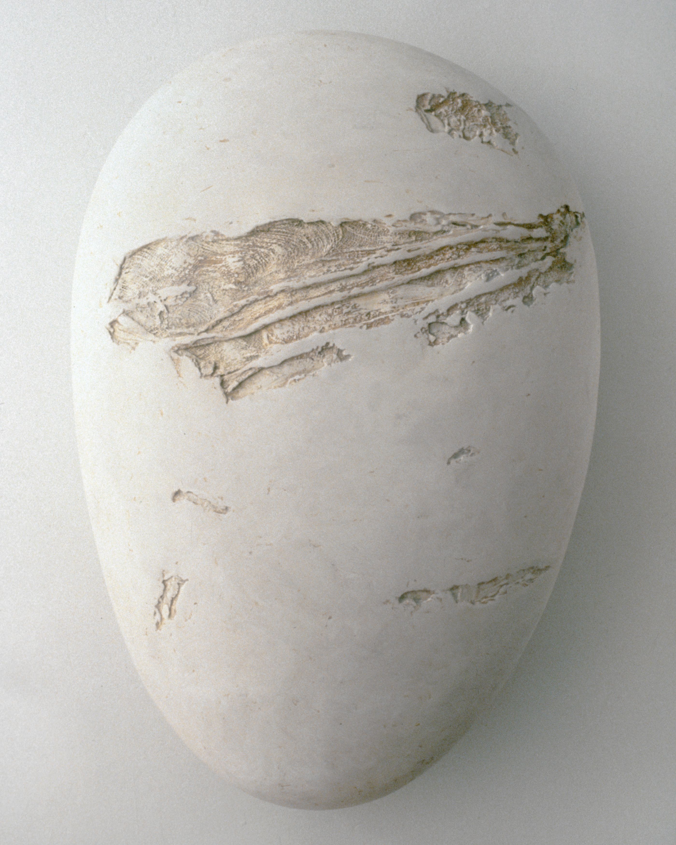 zygote mitosis series no 1 sculpture mary ann unger