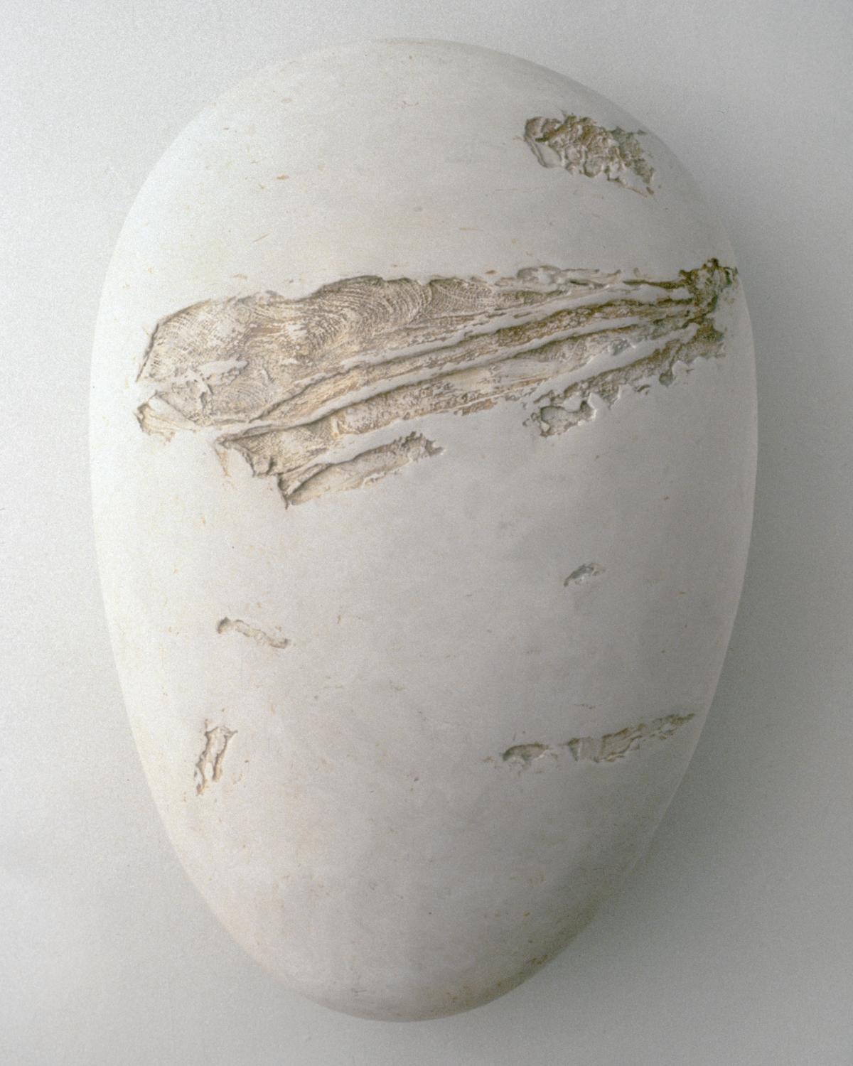 Zygote / Mitosis Series No. 1 | Mary Ann Unger Estate