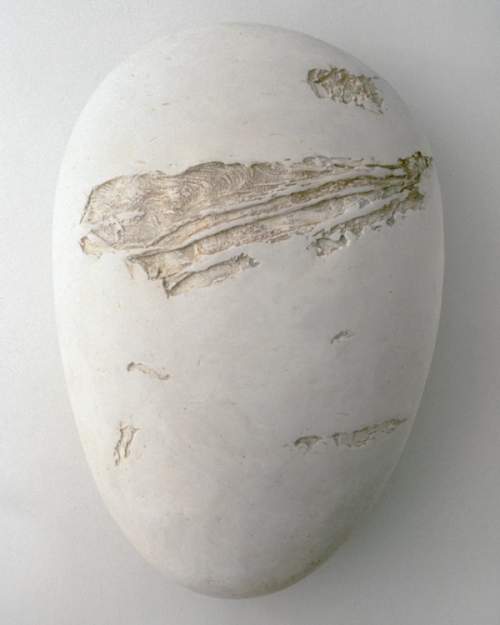 zygote mitosis series no 1 sculpture mary ann unger