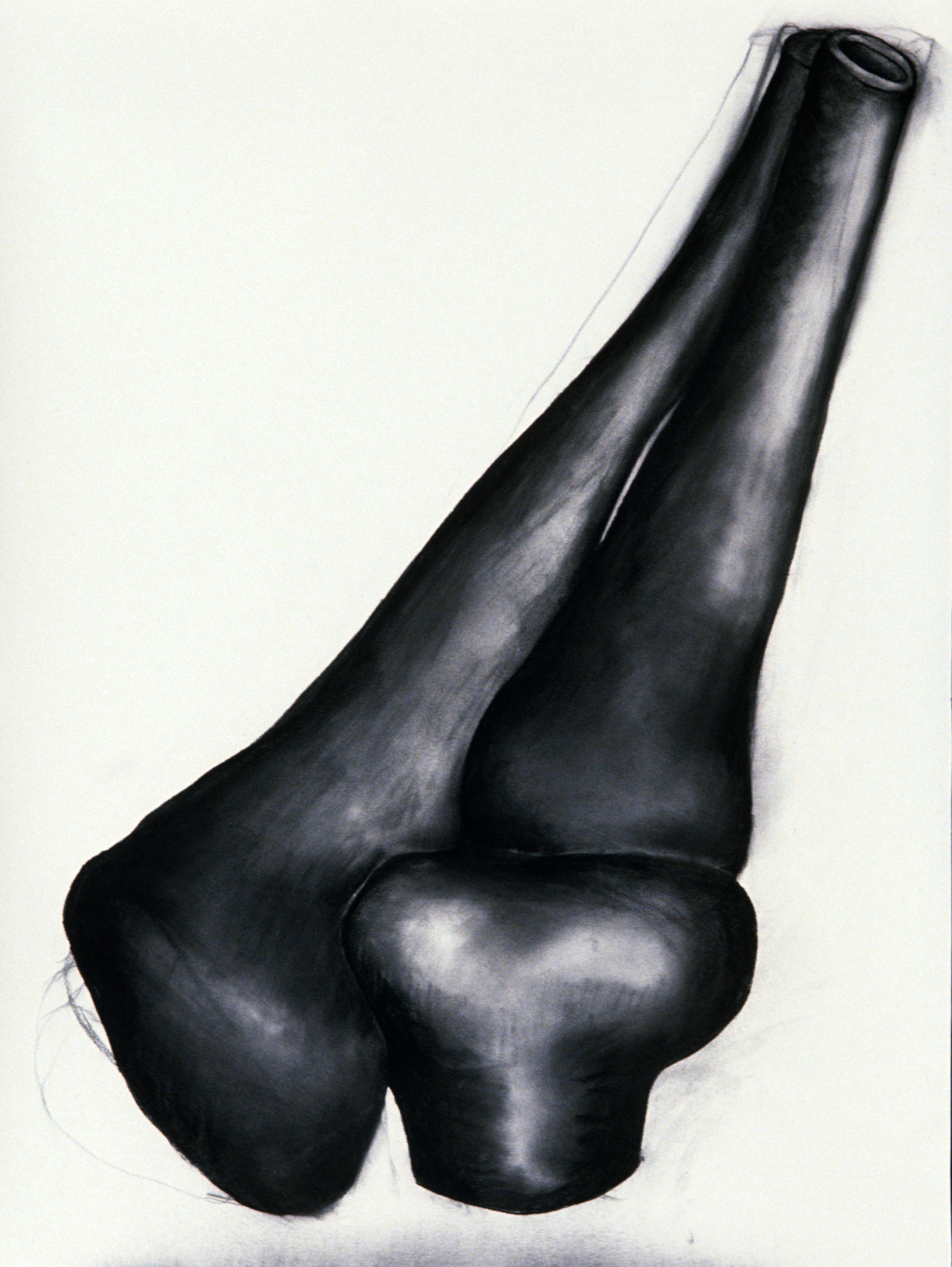 joint iii drawing mary ann ungr