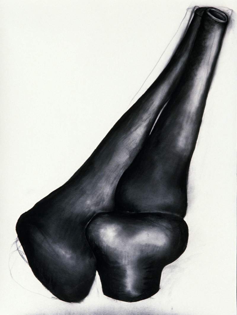 joint iii drawing mary ann ungr