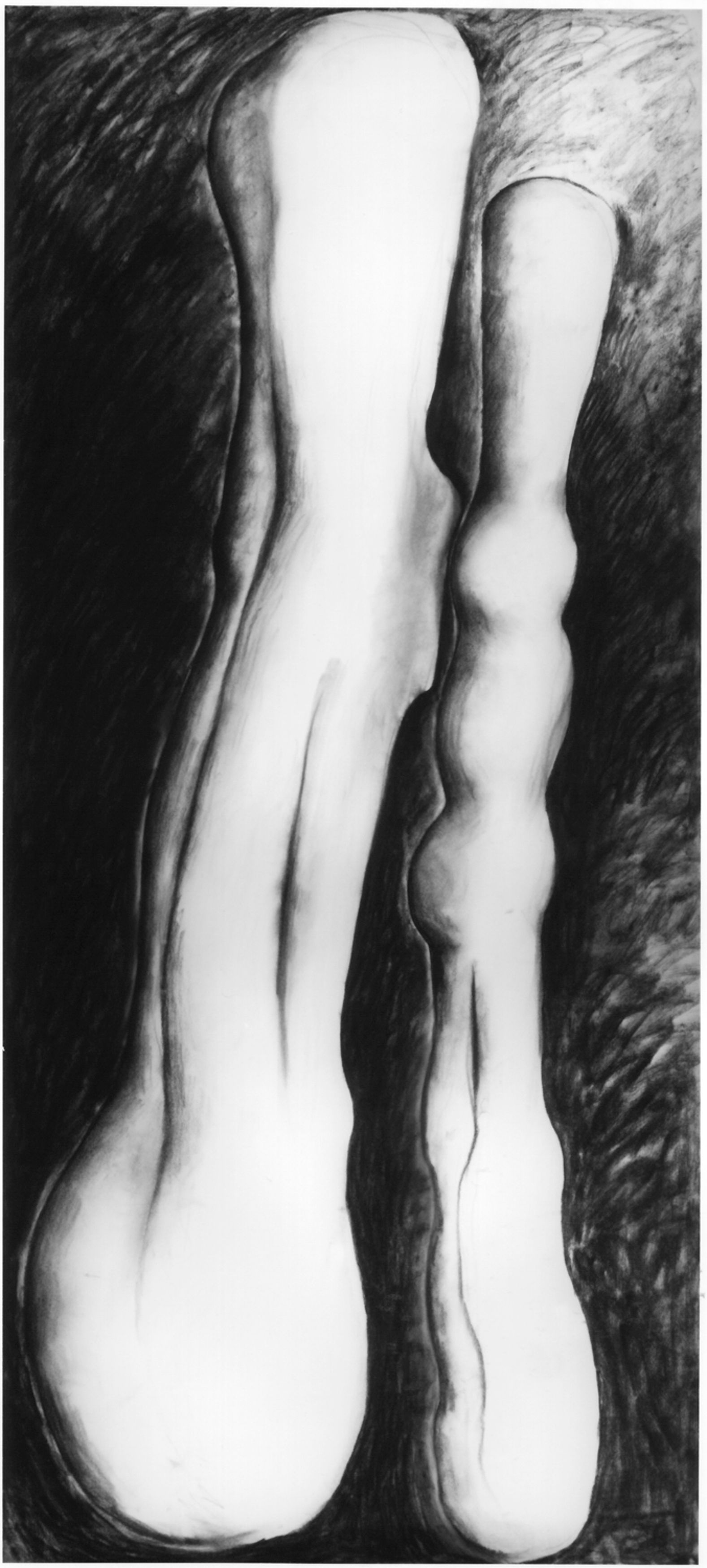 shades drawing mary ann unger