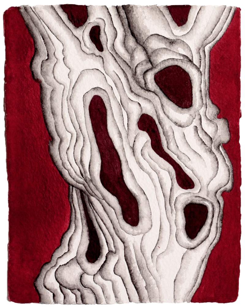 old apple i watercolor mary ann unger