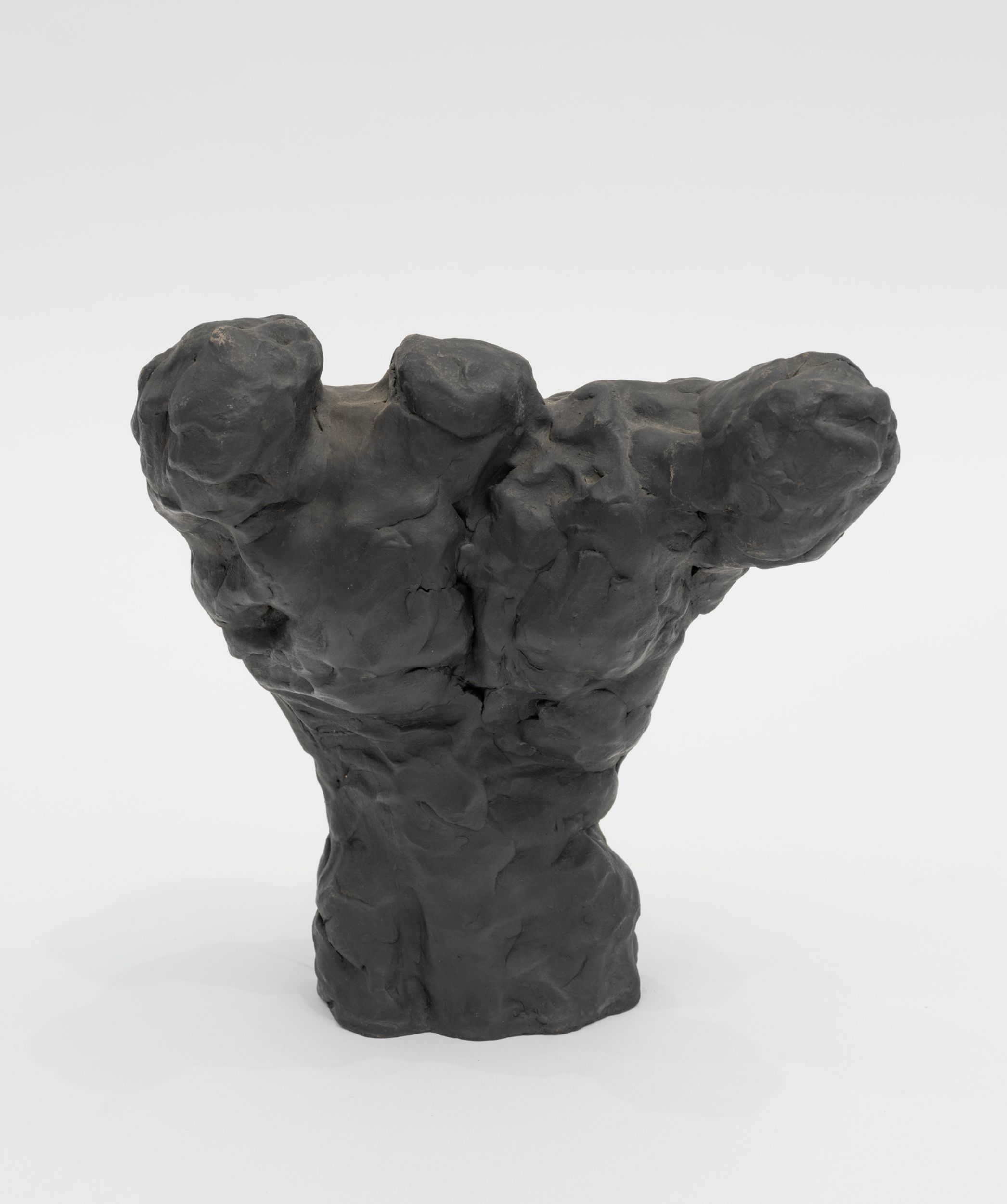 torso mary ann unger