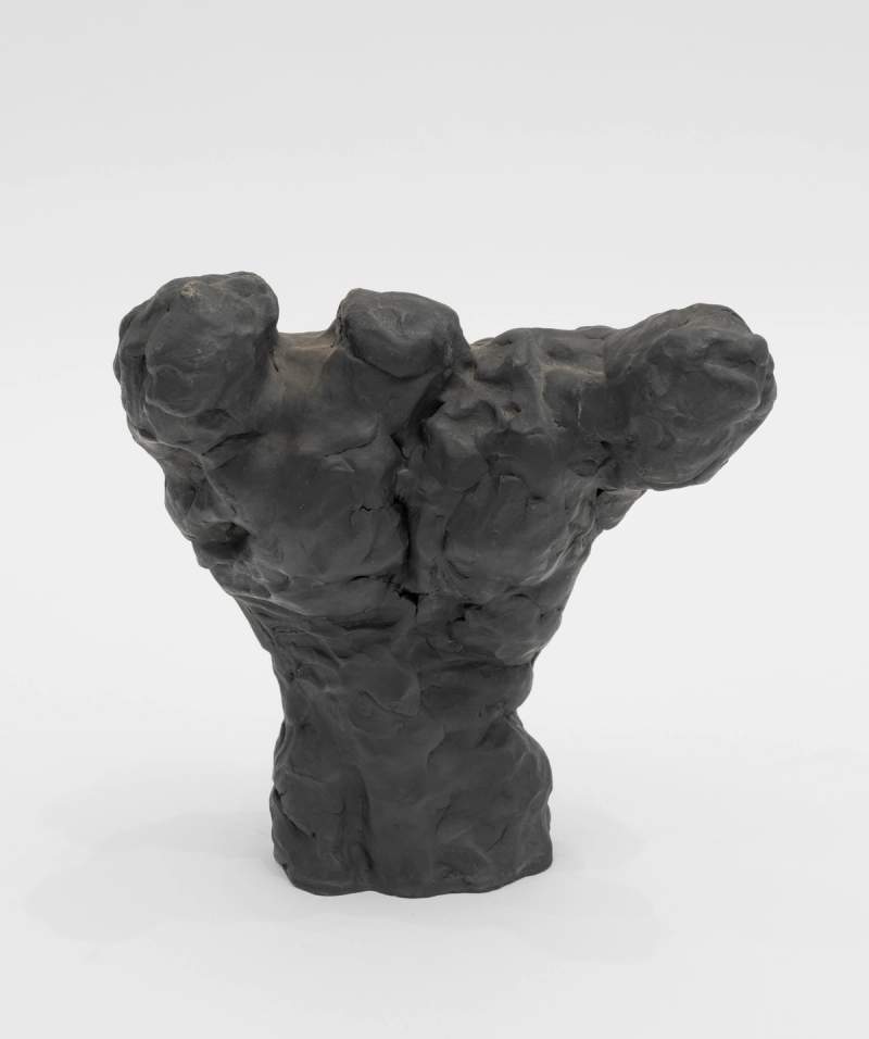 torso mary ann unger