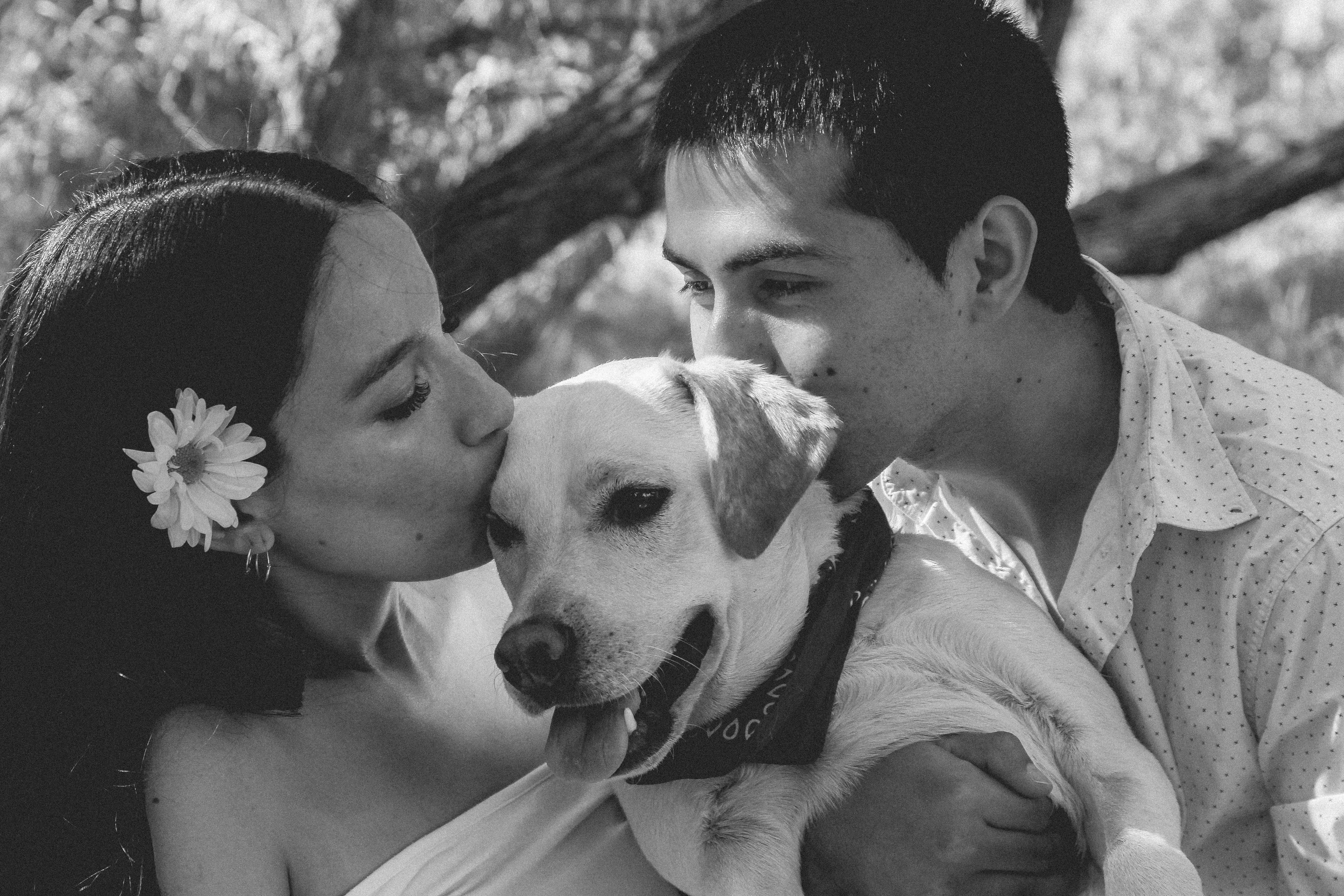 Imagen del equipo teadog o de un te