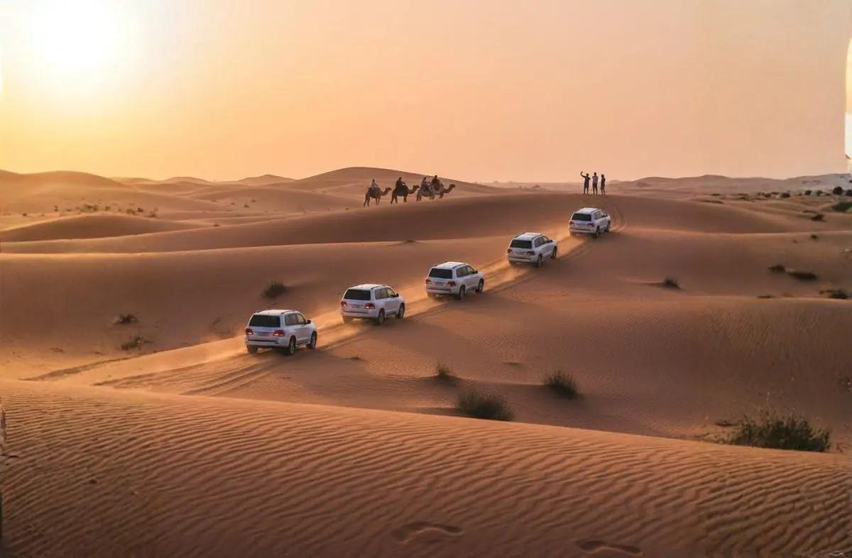 Morning desert safari in Dubai for visitors