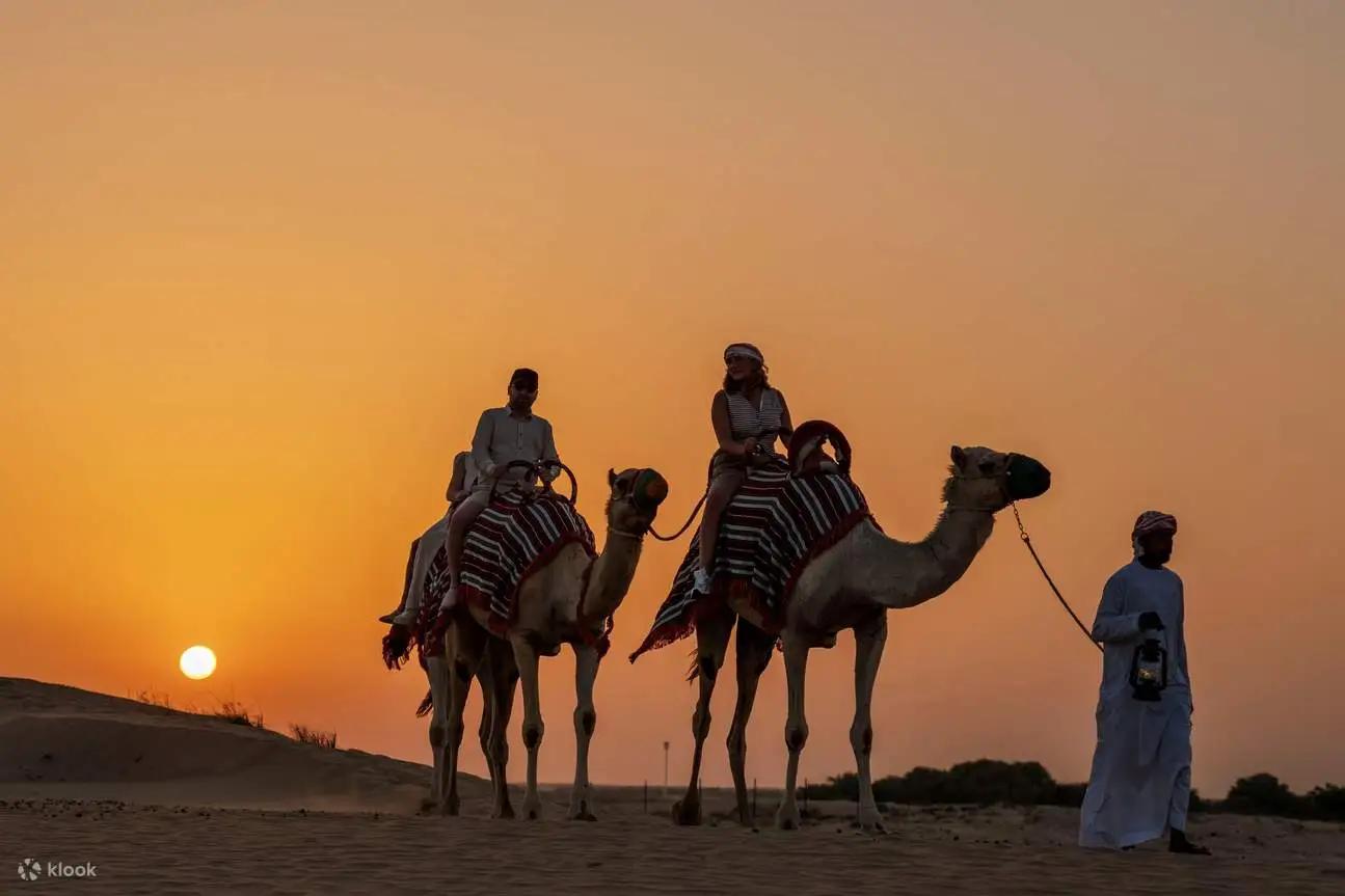 Evening Desert Safari Dubai Desert Sunset View