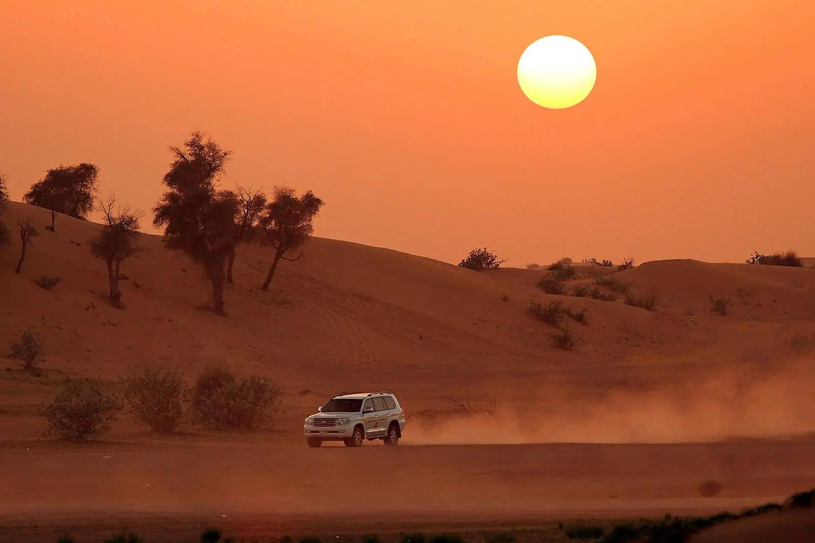 Dubai evening desert safari with BBQ dinner tour