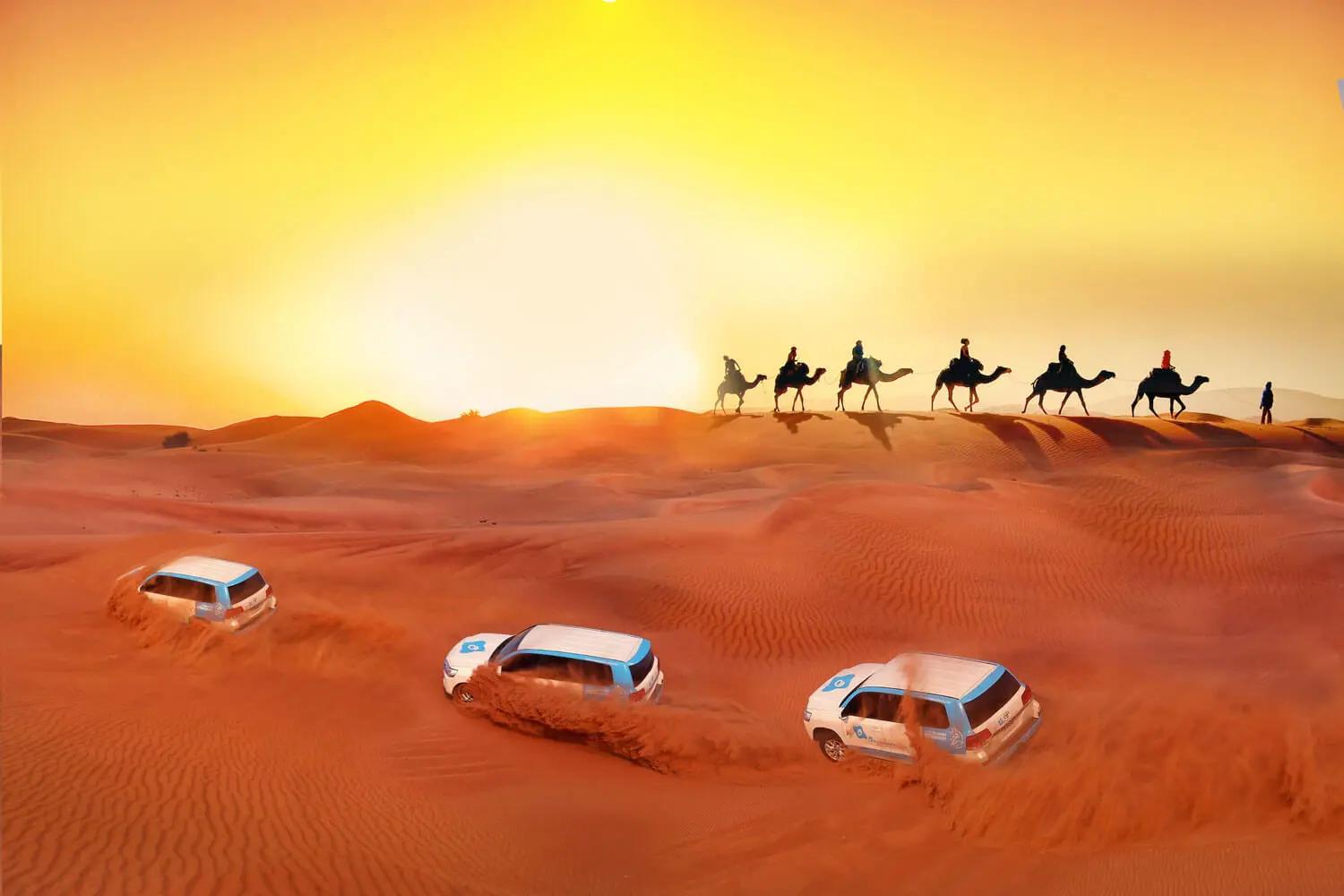 Dubai desert safari, morning tour option