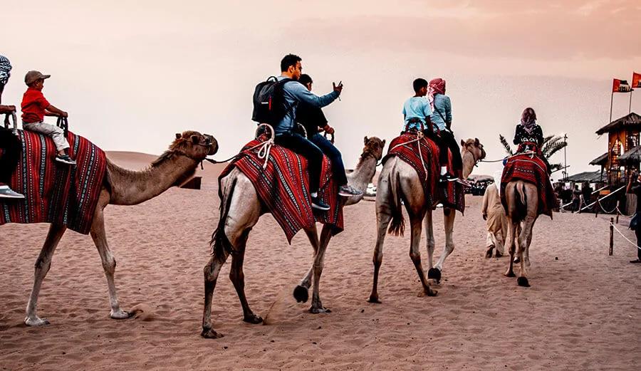 Luxury 4x4 driving over golden sand dunes at sunset