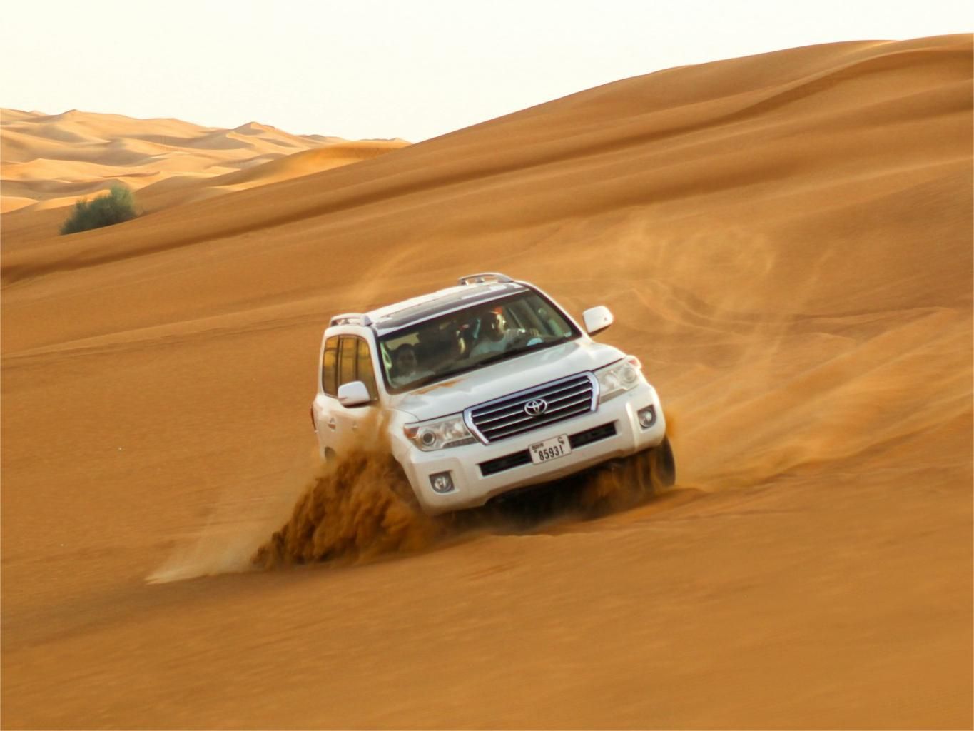 Dubai Desert Safari Dune Buggy Bashing
