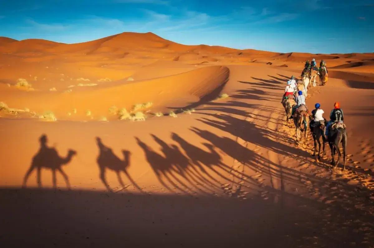 Afternoon desert safari in Dubai with shared pickup