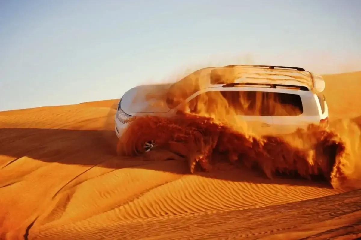 Guest posing with a falcon during a desert experience