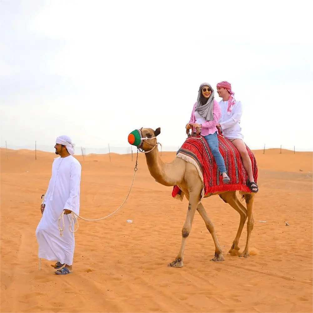 Desert Safari Dubai Camel Ride and Dune Bashing