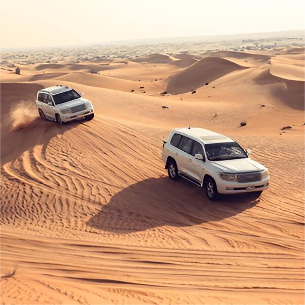 4x4 Desert Safari Land Cruiser Dune Bashing