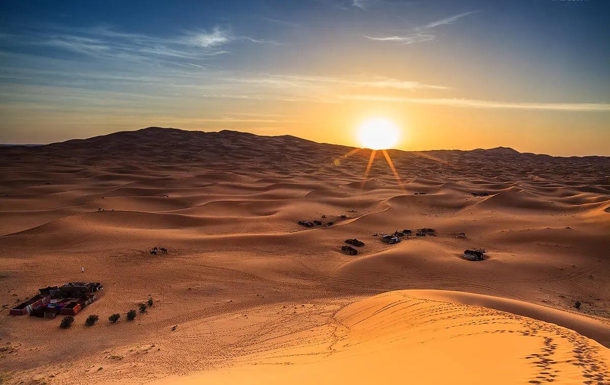Afternoon desert safari experience in Dubai