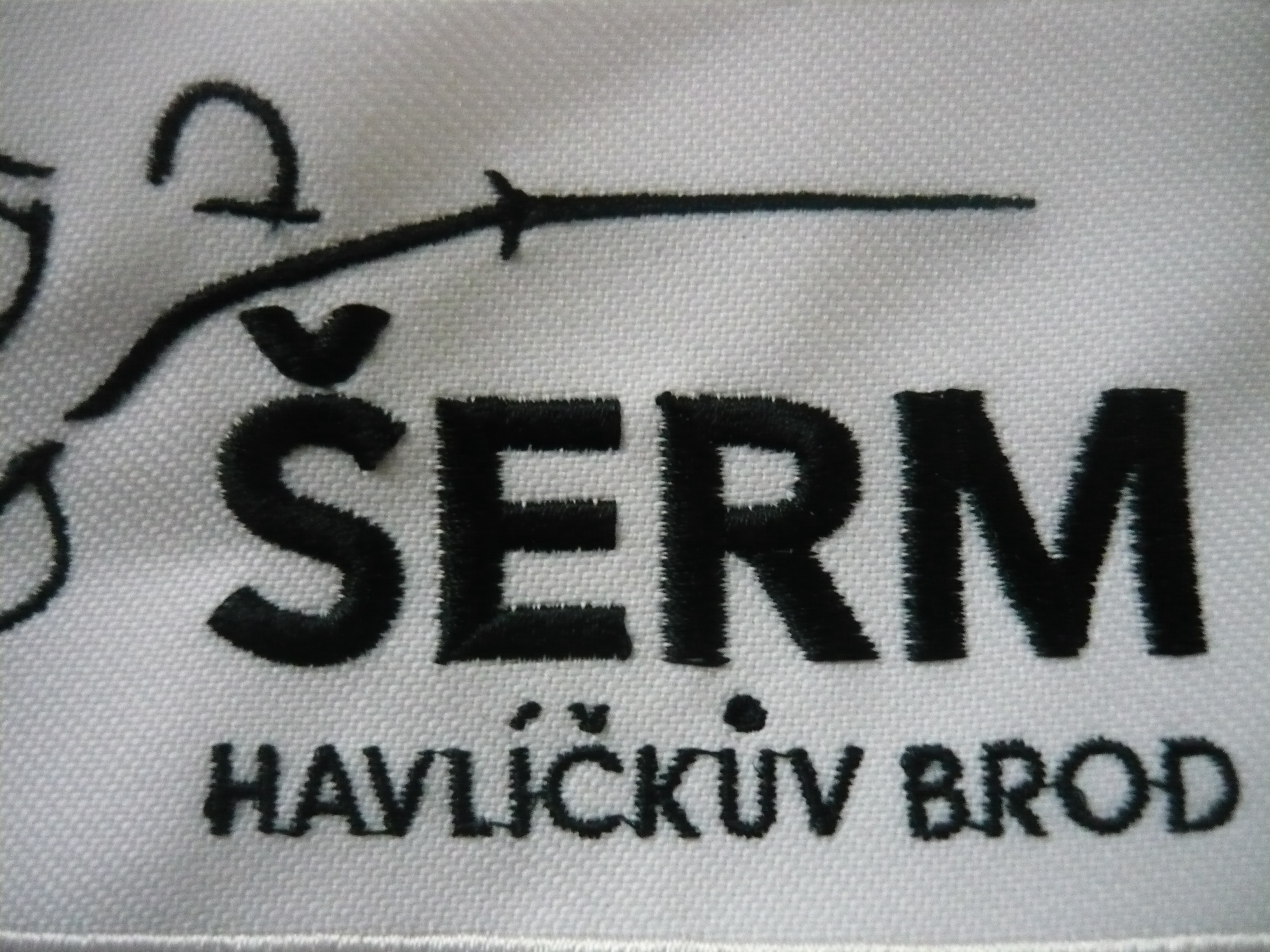 V sobotu 4.4.2019 se havlíčkobrodští veteránští šermíři z TJ Jiskra