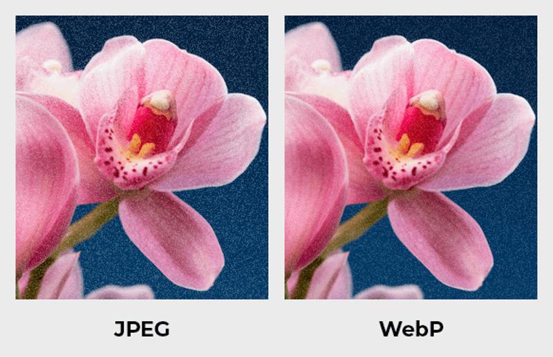 comparison showing WebP vs JPEG file sizes