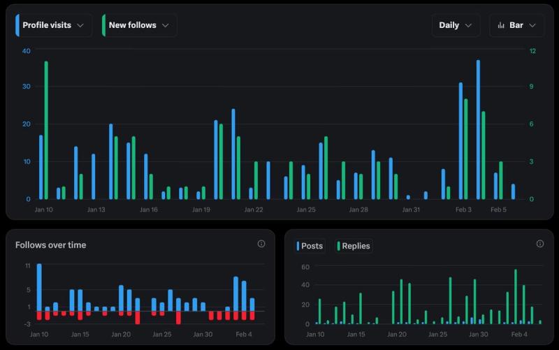 X analytics for January-February showing increased profile visits and follows during consistent posting