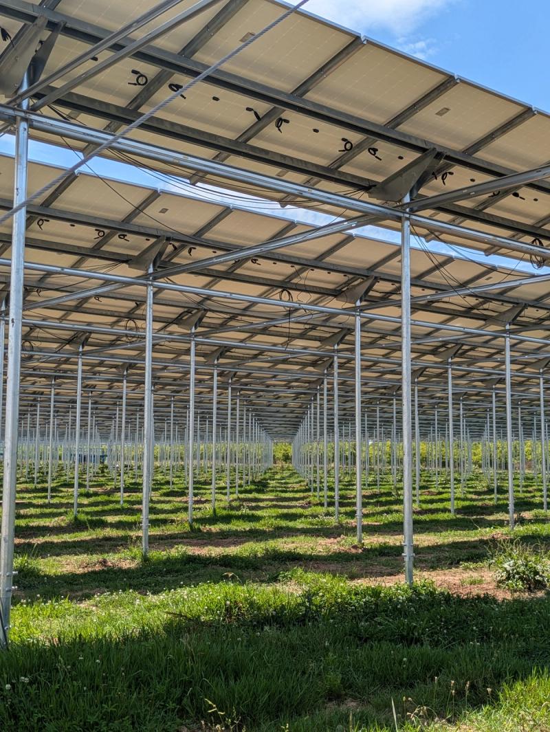 Agri-PV in France