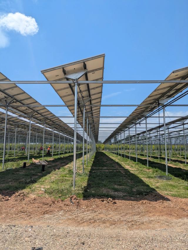 Solar-panel installation Agri-PV
