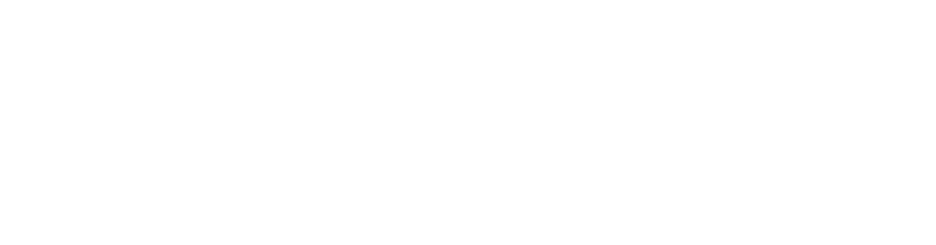 Sisense Inc logo
