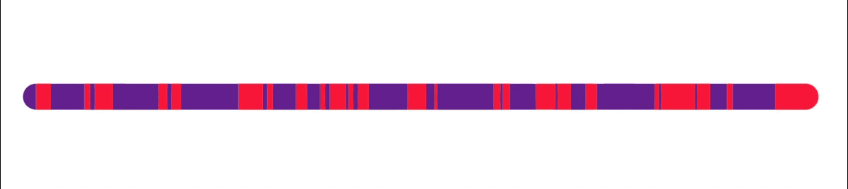 Chromosome with red and purple banding pattern