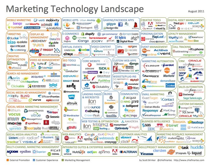Competitive Landscape