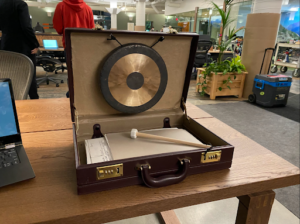 Gong Case 300x224