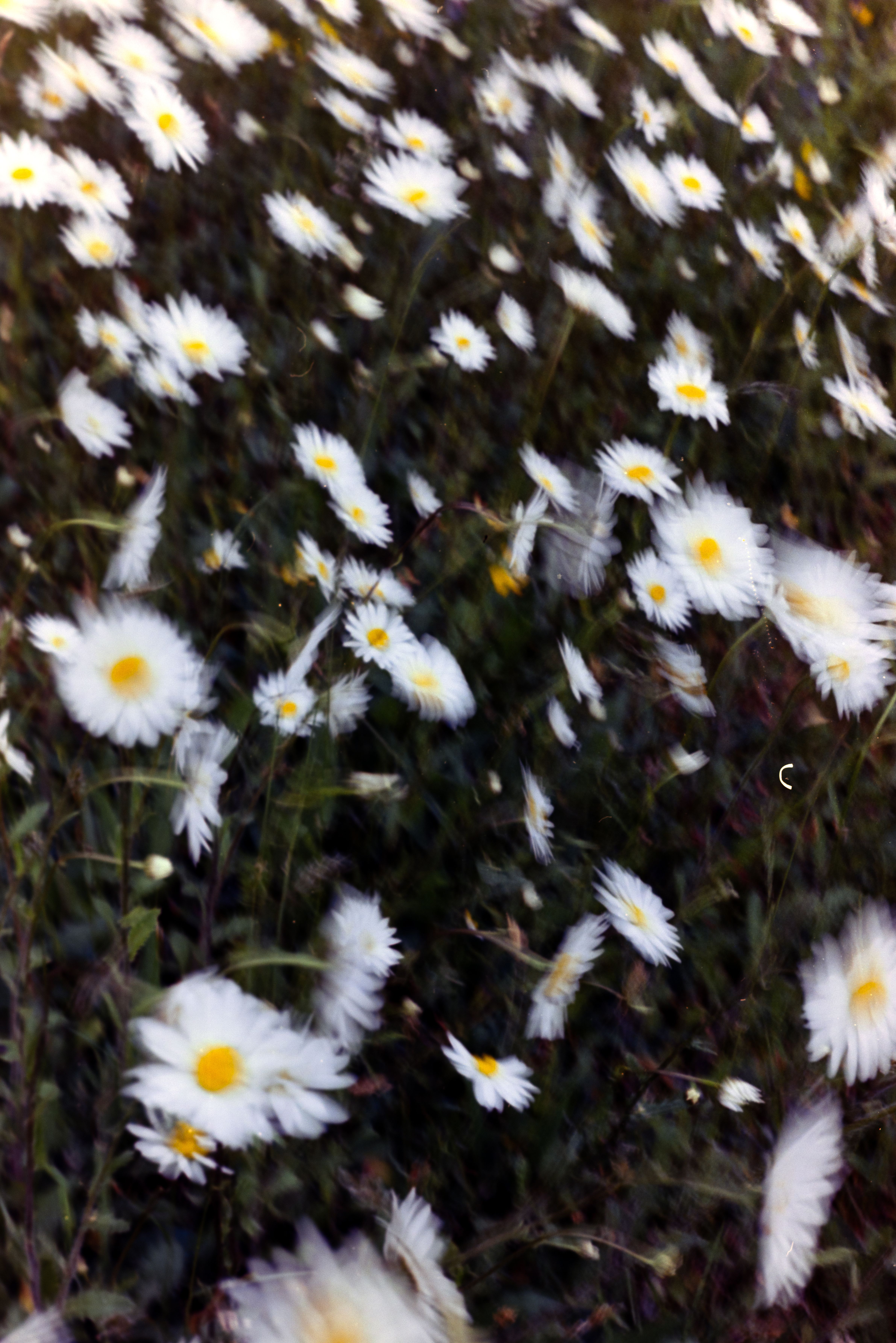 Natur: Motiv 8