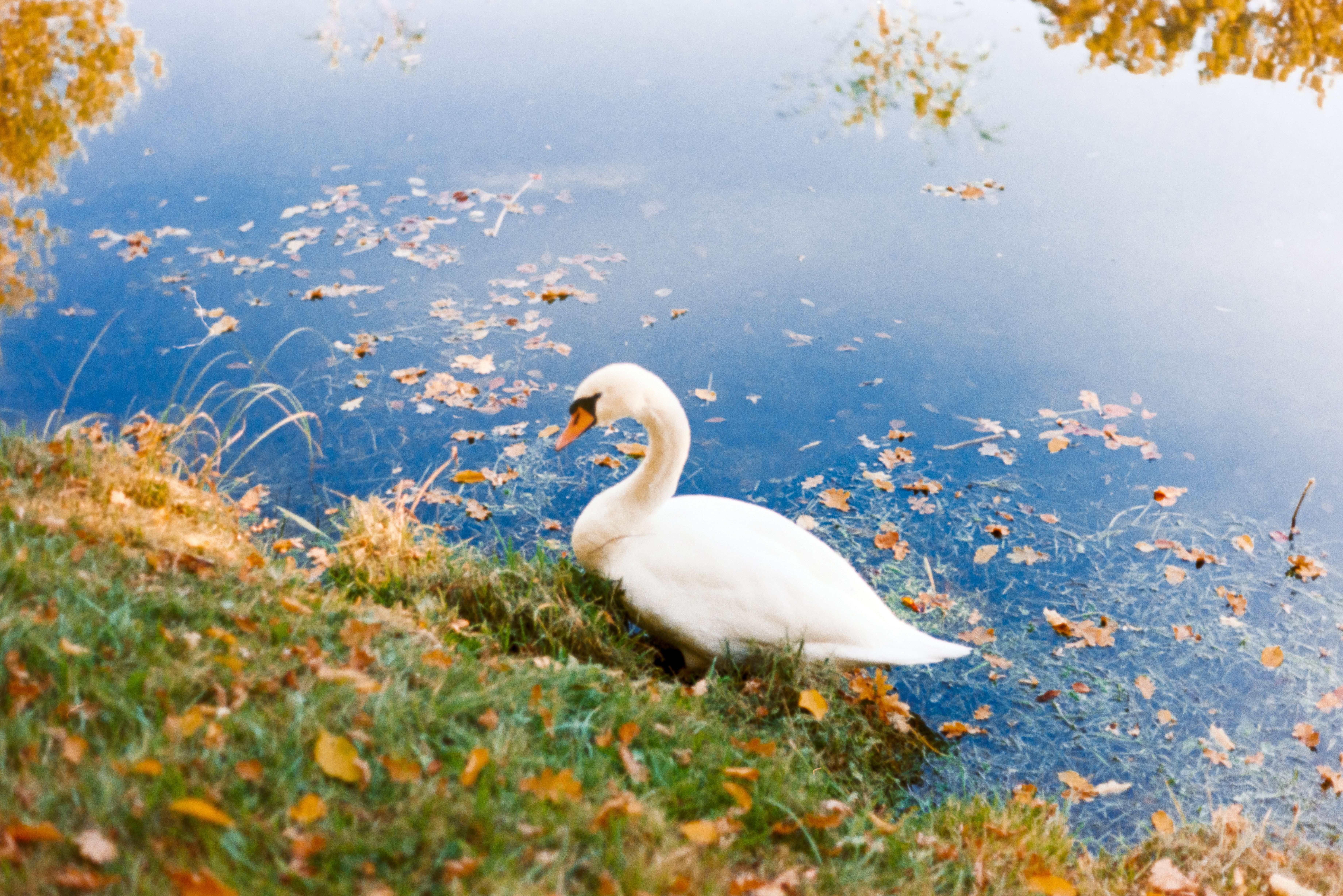 Natur: Motiv 6