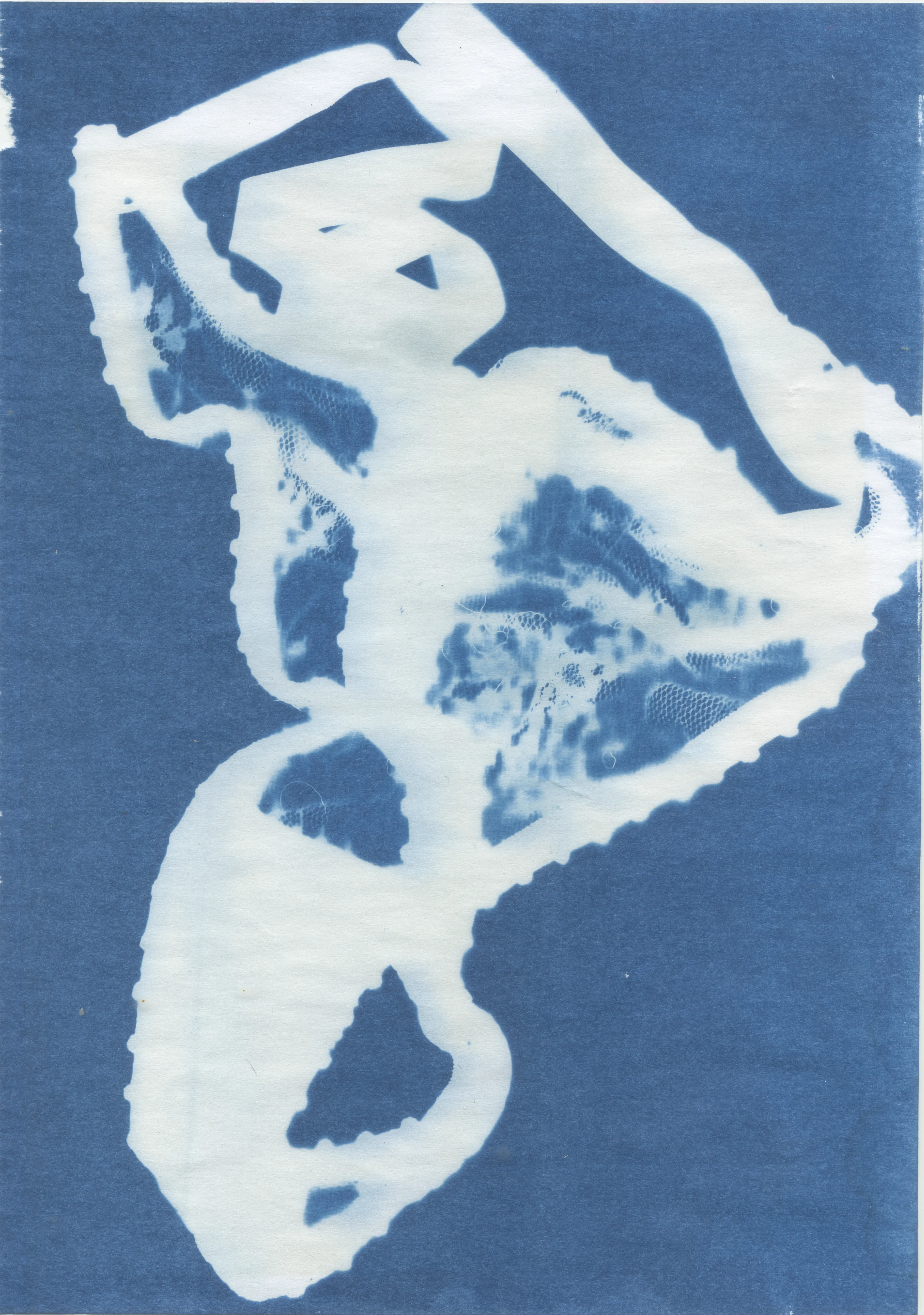 Cyanotype for beginners