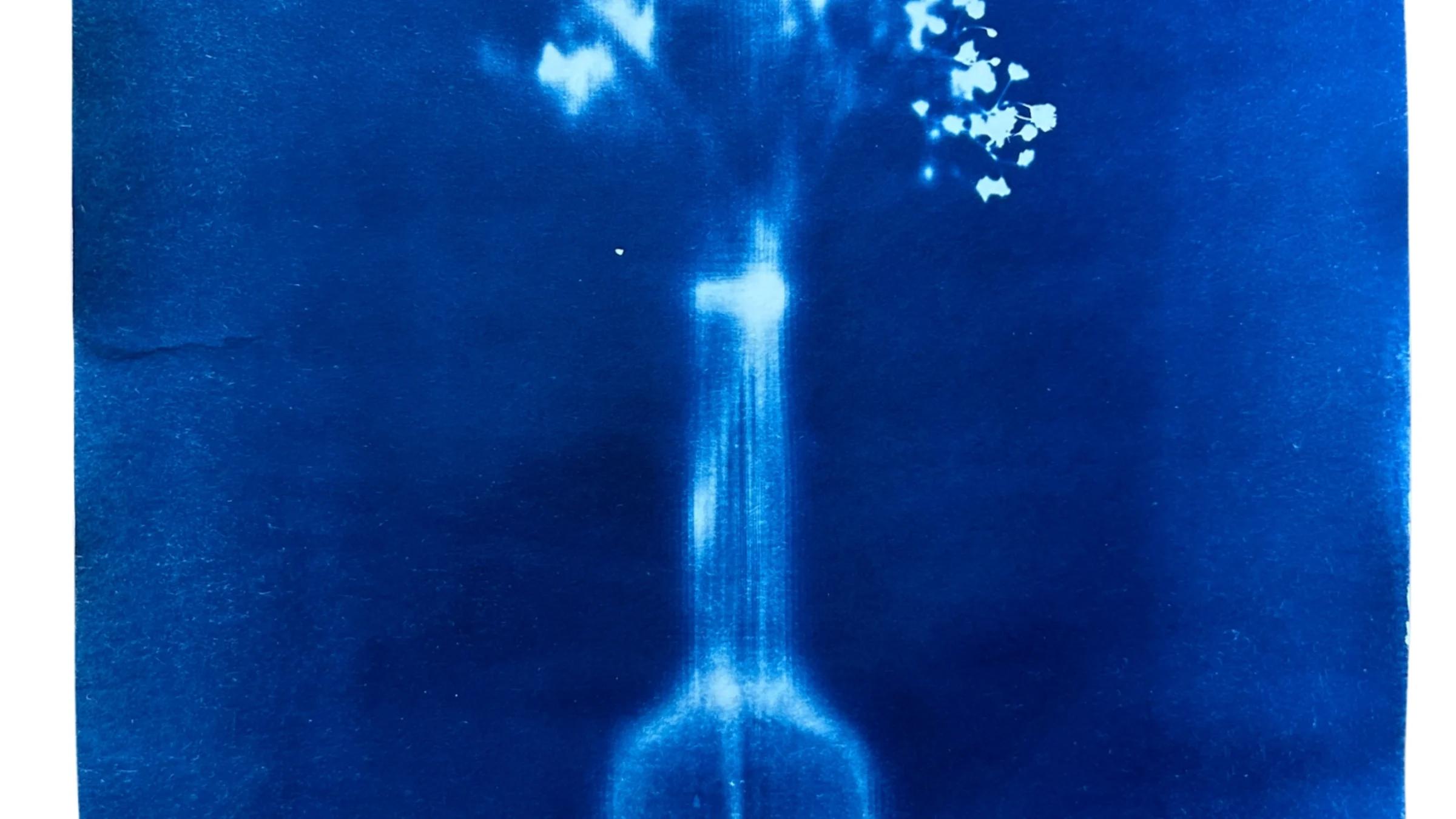 Botanical cyanotype artwork