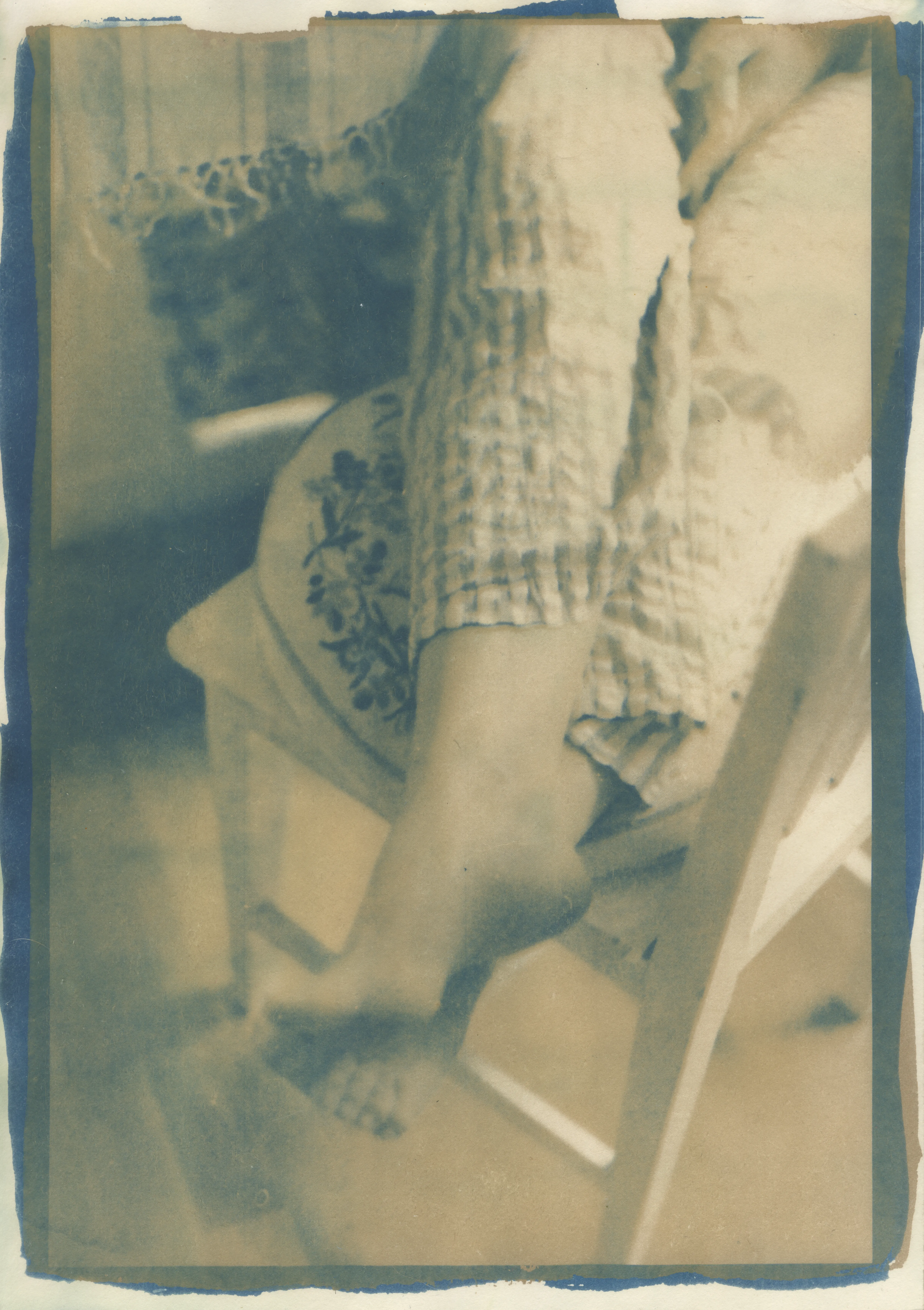 Cyanotype Studien: Motiv 11