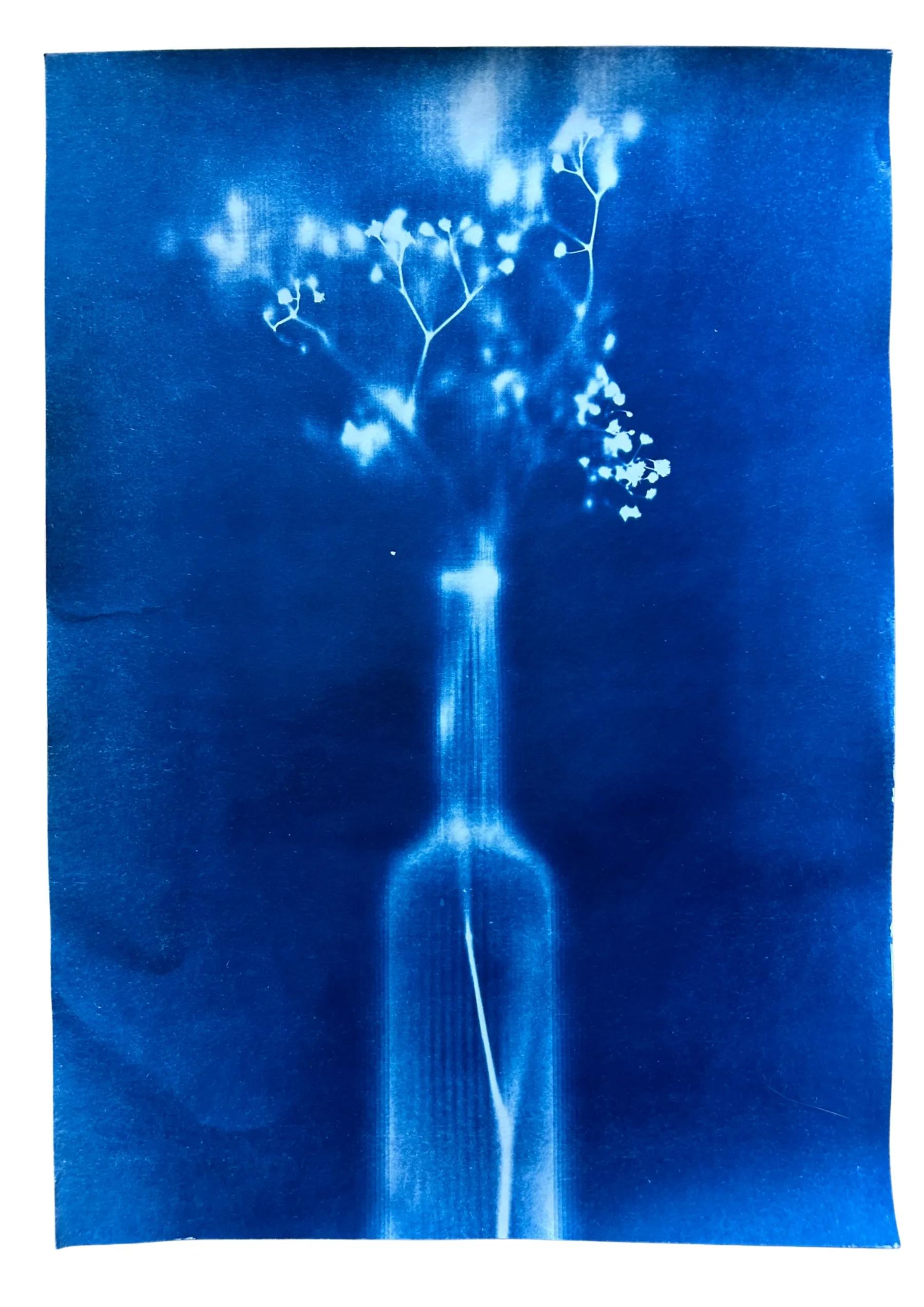 Ausgewählte Prints