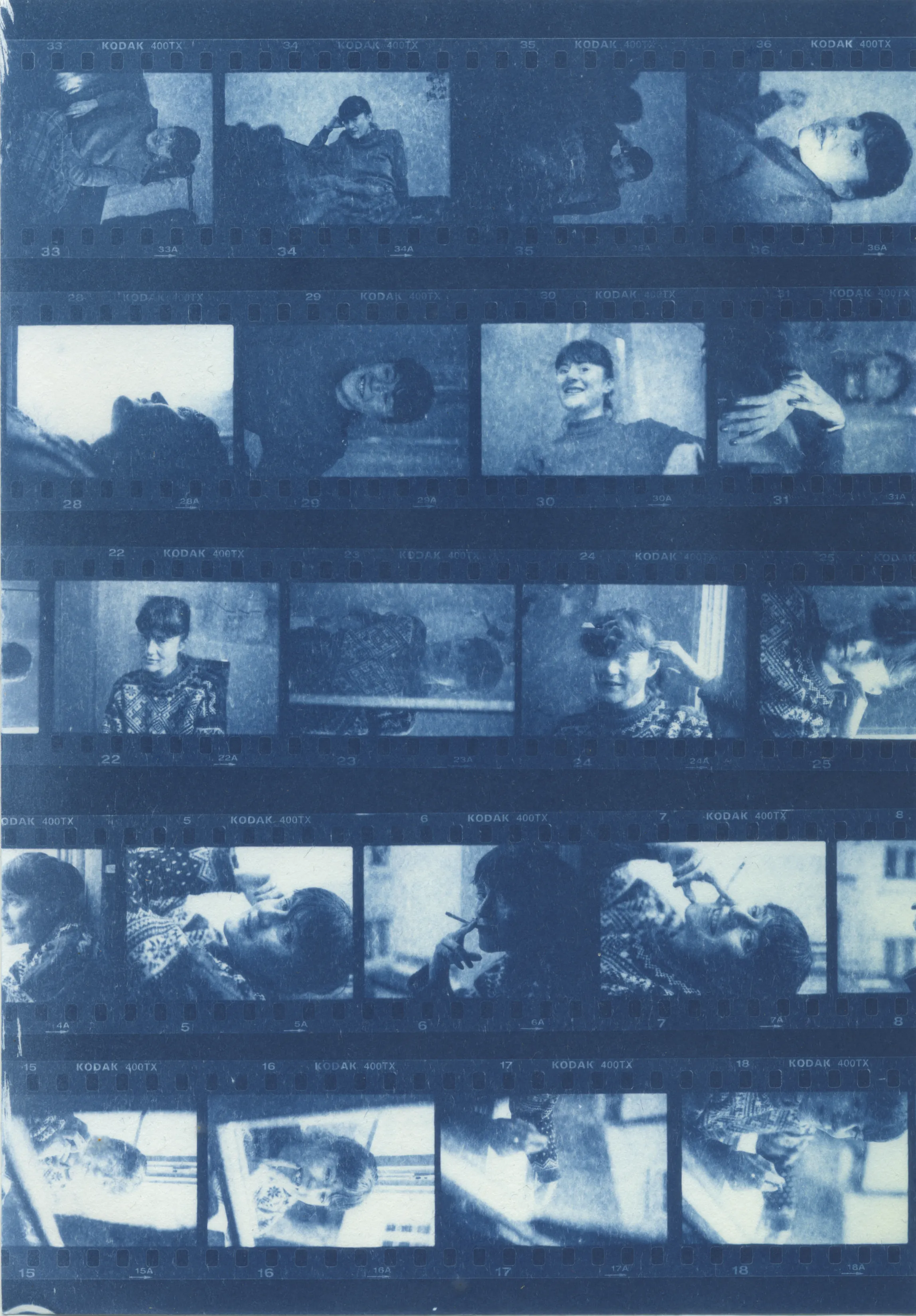 Cyanotype Studien: Motiv 6