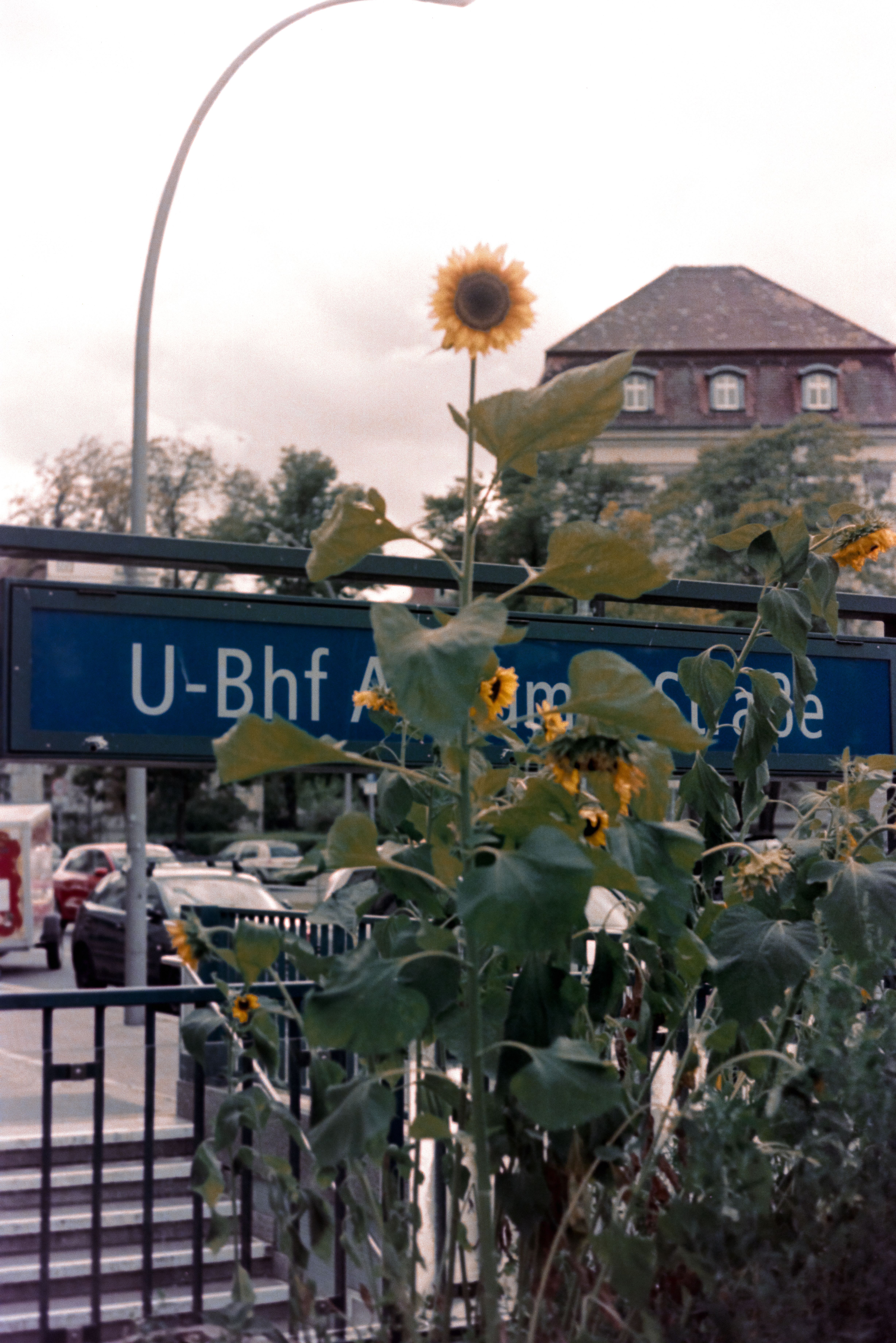 Berlin auf Film: Motiv 5