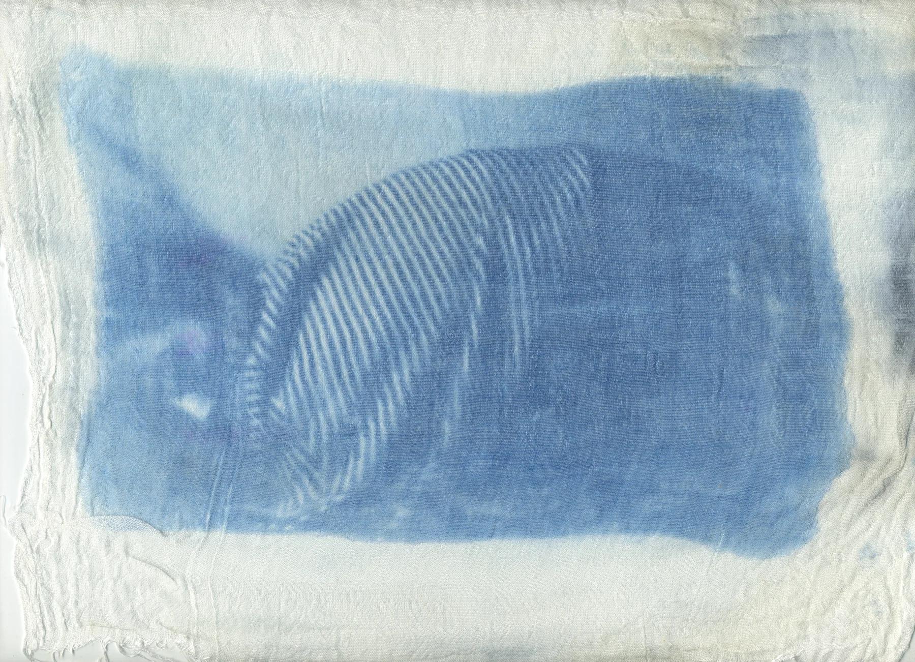 Cyanotype Studien: Motiv 2